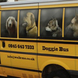 Doggy Bus Vehicle Graphics 01